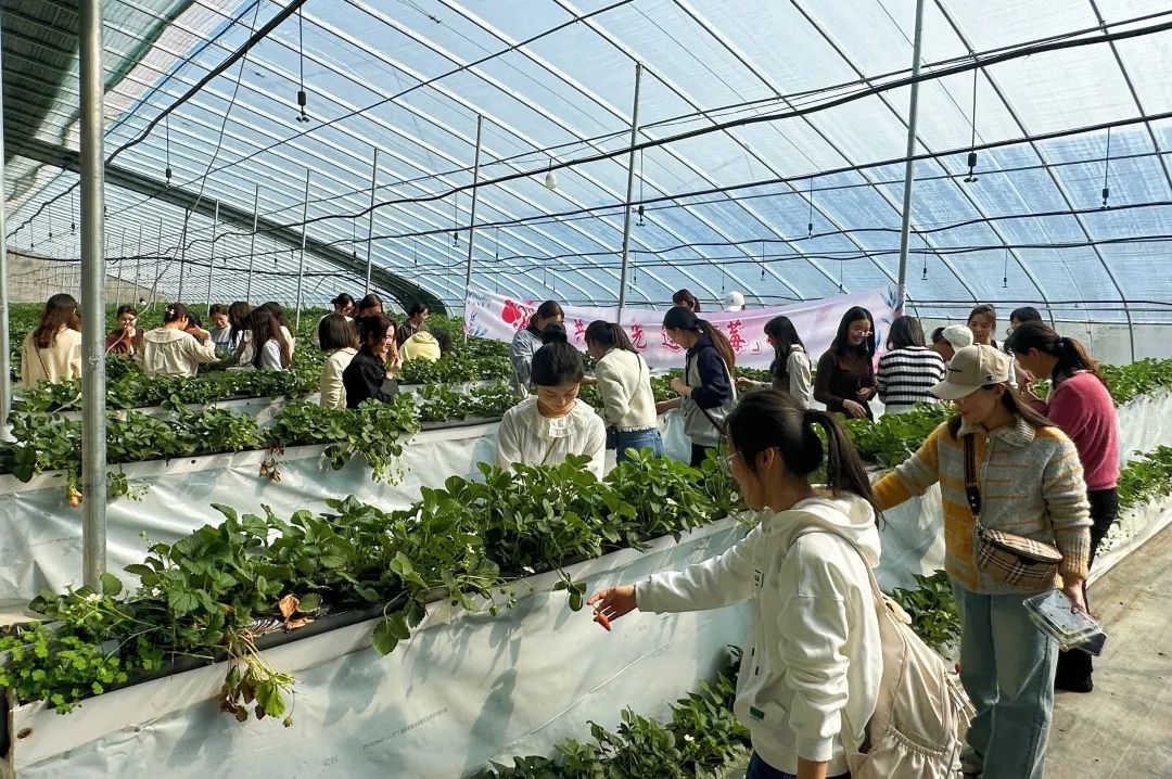 1678324021646148.jpg 1678324021646148.jpg